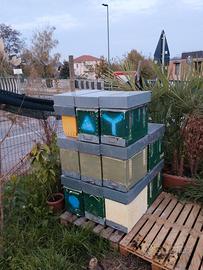 Arniette, melarietti, reti per nuclei e altro..