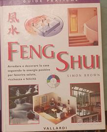 Libro Feng Shui