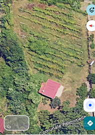 Terreno agricolo Somma Vesuviana