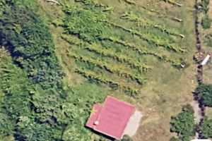 Terreno agricolo Somma Vesuviana