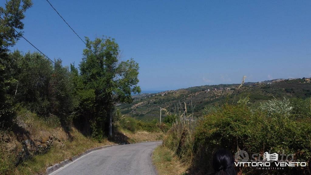 Terreno di 29526 m² a Laureana Cilento - Vista 2