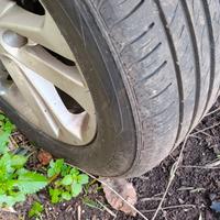 nissan juke gpl casa madre