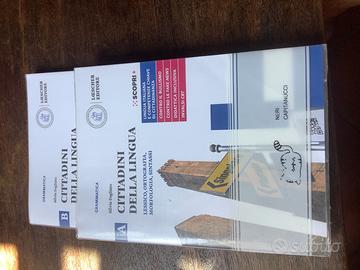 Cittadini della lingua A+B