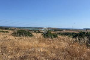 TER. AGRICOLO A QUARTUCCIU