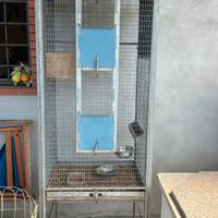 gabbia per uccelli