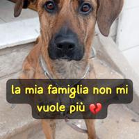 Perla - da una casa al nulla