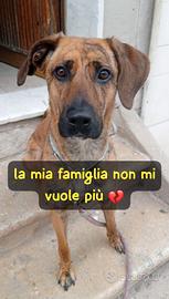 Perla - da una casa al nulla