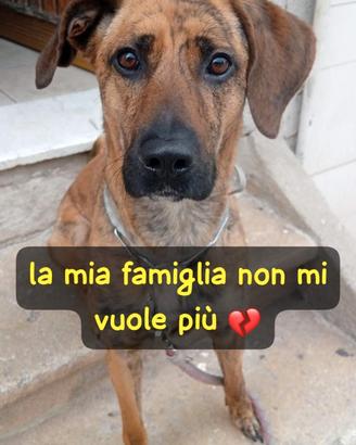 Perla - da una casa al nulla