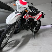 Beta 50rr 2019