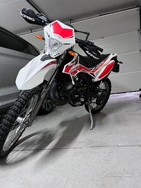 Beta 50rr 2019