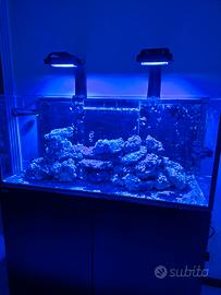 Acquario della Red Sea 350 G2