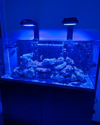 Acquario della Red Sea 350 G2