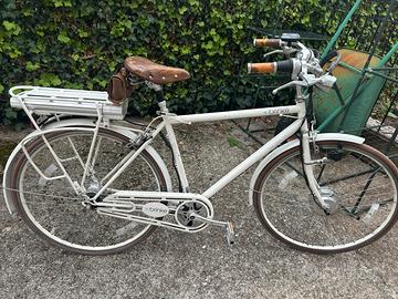 Bici elettrica brinke elettrica