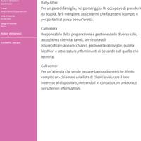 Addetta alle vendite, cameriera, baby sitter