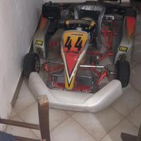 kart intrepid 60