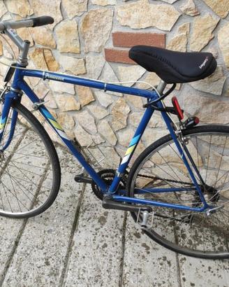 Bici blu da città/corsa in acciaio