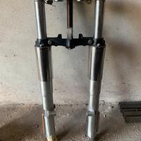 Avantreno eritage 1584