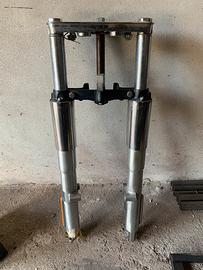 Avantreno eritage 1584