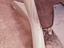 Immagine 10