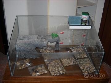 TARTARUGHIERA IN VETRO CM. 80 X 50 ACCESSORIATA