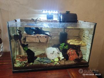30 litri acquario o tartarughiera  e accessori 