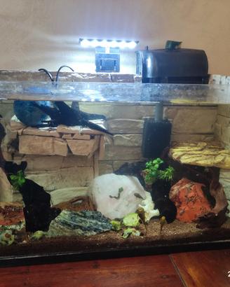 30 litri acquario o tartarughiera  e accessori 