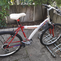 Bici