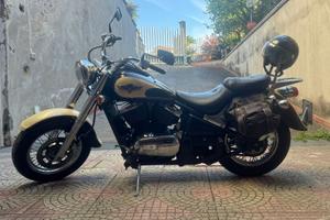 Kawasaki VN 800 Classic - 1999