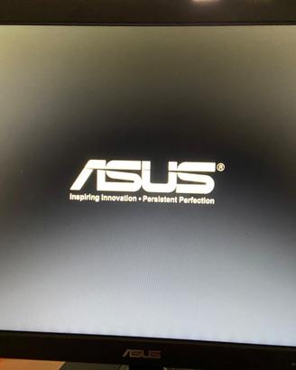 ASUS  VIDEO 20 POLLICI