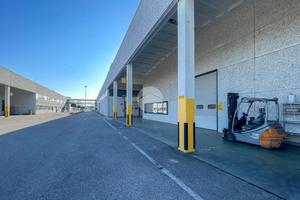 CAPANNONE A ASOLA