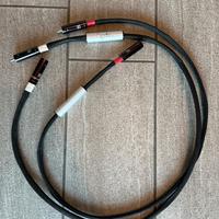 Cammino RCA S 2.0 - 1 metro