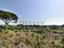 Immagine 18