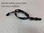 Immagine 15