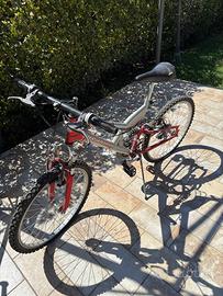 Bicicletta
