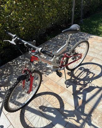 Bicicletta