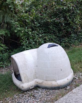 cuccia igloo per cani