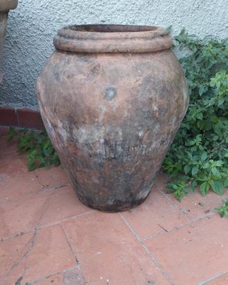 Orcio 
