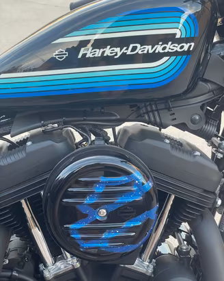 Harley davidson iron 1200