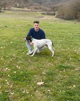 Cane da ferma pointer