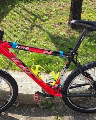MTB OLMO