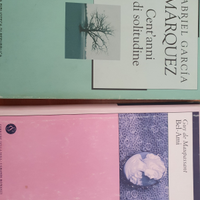 2 libri (cent'anni di solitudine e Bel-Ami)