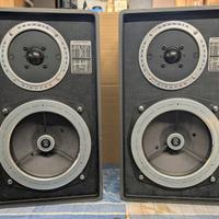 Diffusori Grundig Box 450a Professional