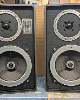 Diffusori Grundig Box 450a Professional