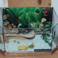 Acquario