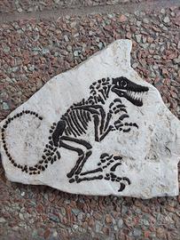 Copia Dinosauro