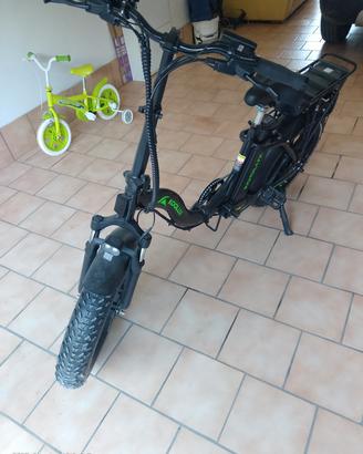 Bicicletta elettrica 