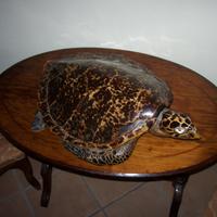 Tavolino