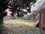 Immagine 12