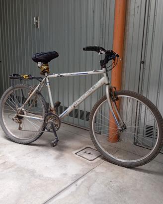 Bicicletta Mountain bike