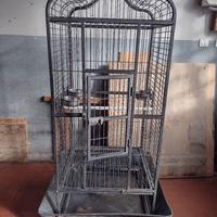 Gabbia pappagalli 